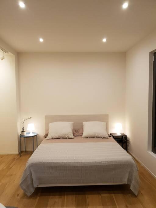 Experience The Loft! Loft 18, Downtown, Near The Lake Free Parking Available Lugano Exterior photo